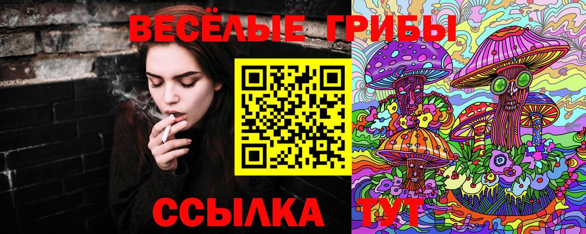 Галлюциногенные грибы мицелий Аша