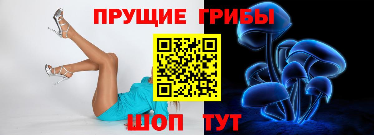 Аша  Галлюциногенные грибы GOLDEN TEACHER  Вход с VPN 
